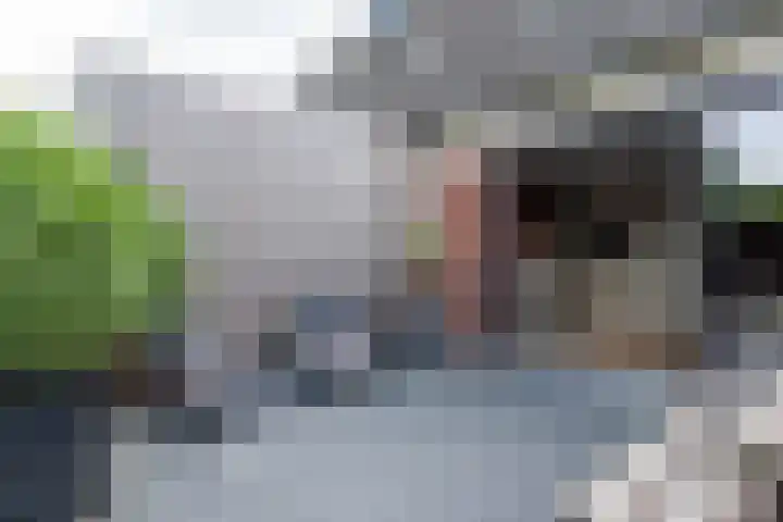 Jonkvrouw 52 Sneek thumbnail 44