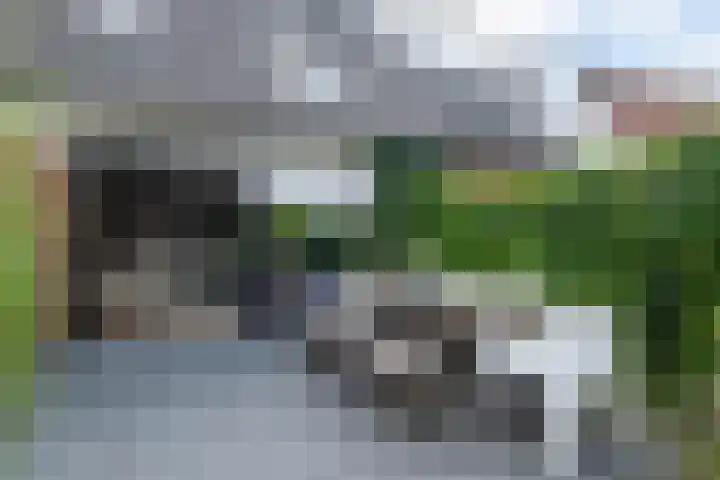 Jonkvrouw 52 Sneek thumbnail 45