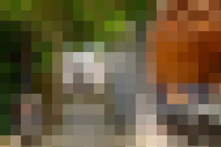 Jonkvrouw 52 Sneek thumbnail 48