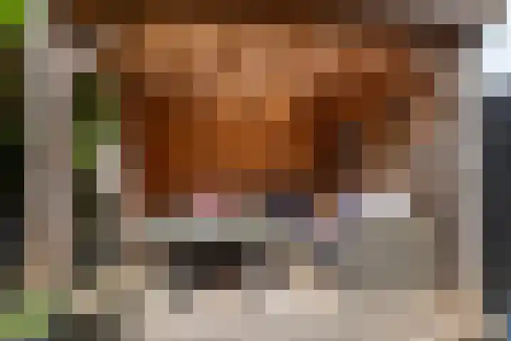 Jonkvrouw 52 Sneek thumbnail 49
