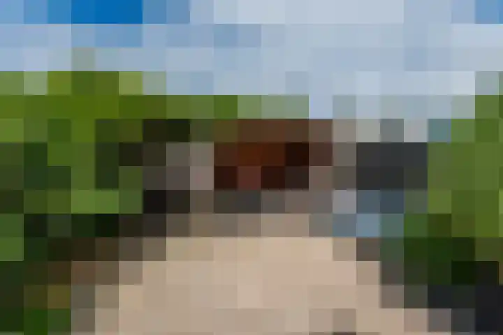 Jonkvrouw 52 Sneek thumbnail 50