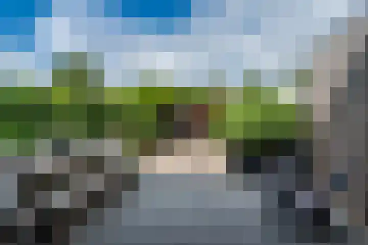 Jonkvrouw 52 Sneek thumbnail 51