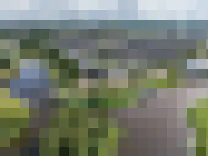 Jonkvrouw 52 Sneek thumbnail 52