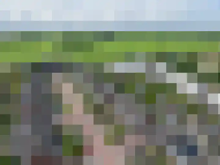 Jonkvrouw 52 Sneek thumbnail 53