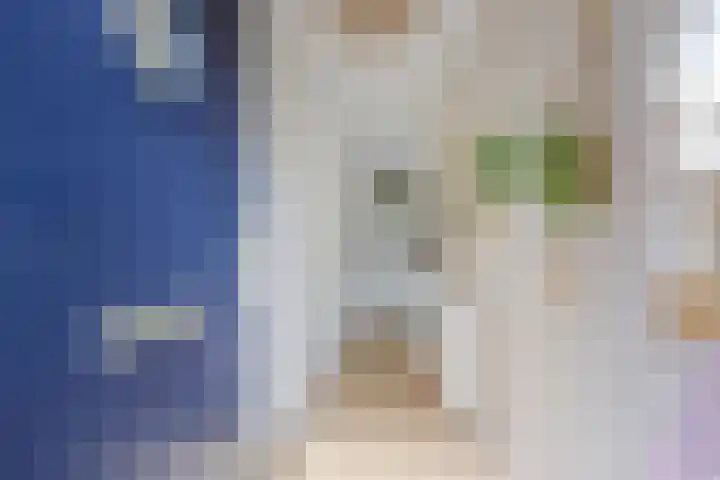 Jonkvrouw 54 Sneek thumbnail 16