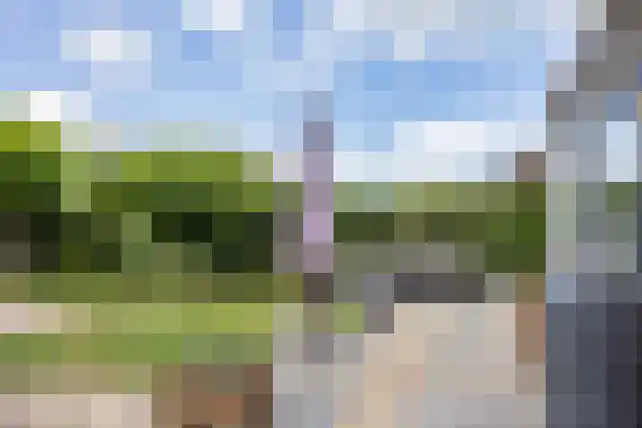 Jonkvrouw 54 Sneek thumbnail 29