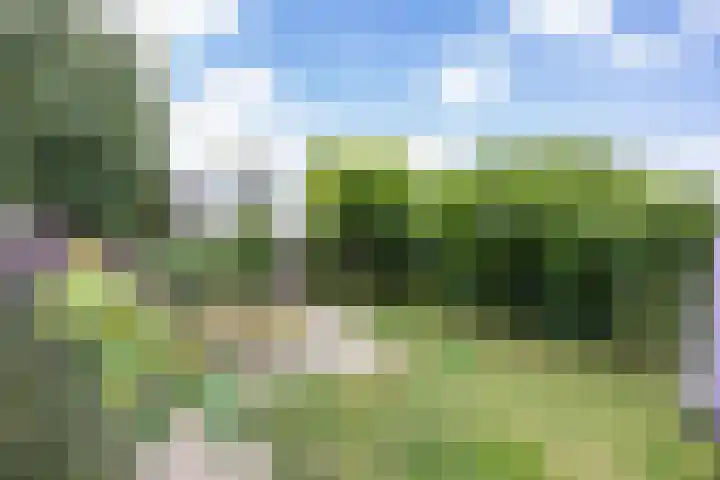 Jonkvrouw 54 Sneek thumbnail 30