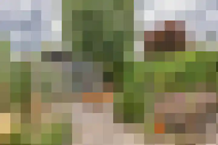 Jonkvrouw 54 Sneek thumbnail 32