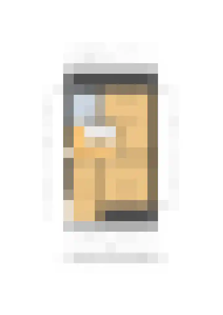 Jonkvrouw 54 Sneek thumbnail 39