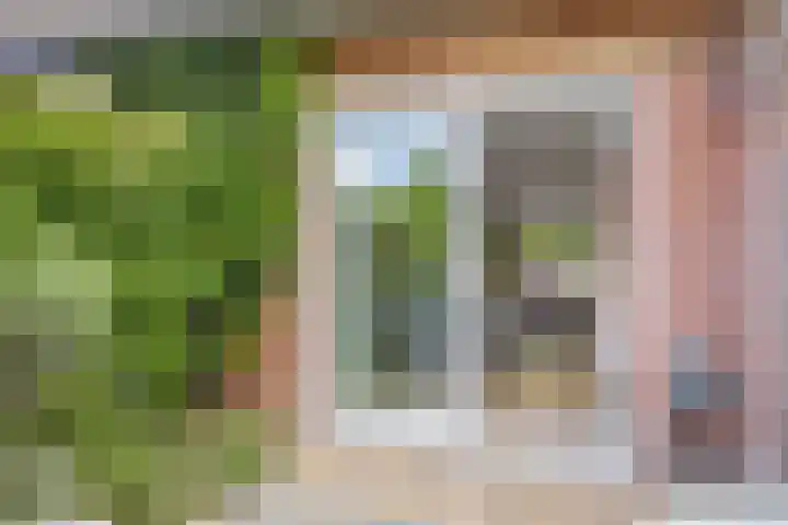 Jonkvrouw 54 Sneek thumbnail 8