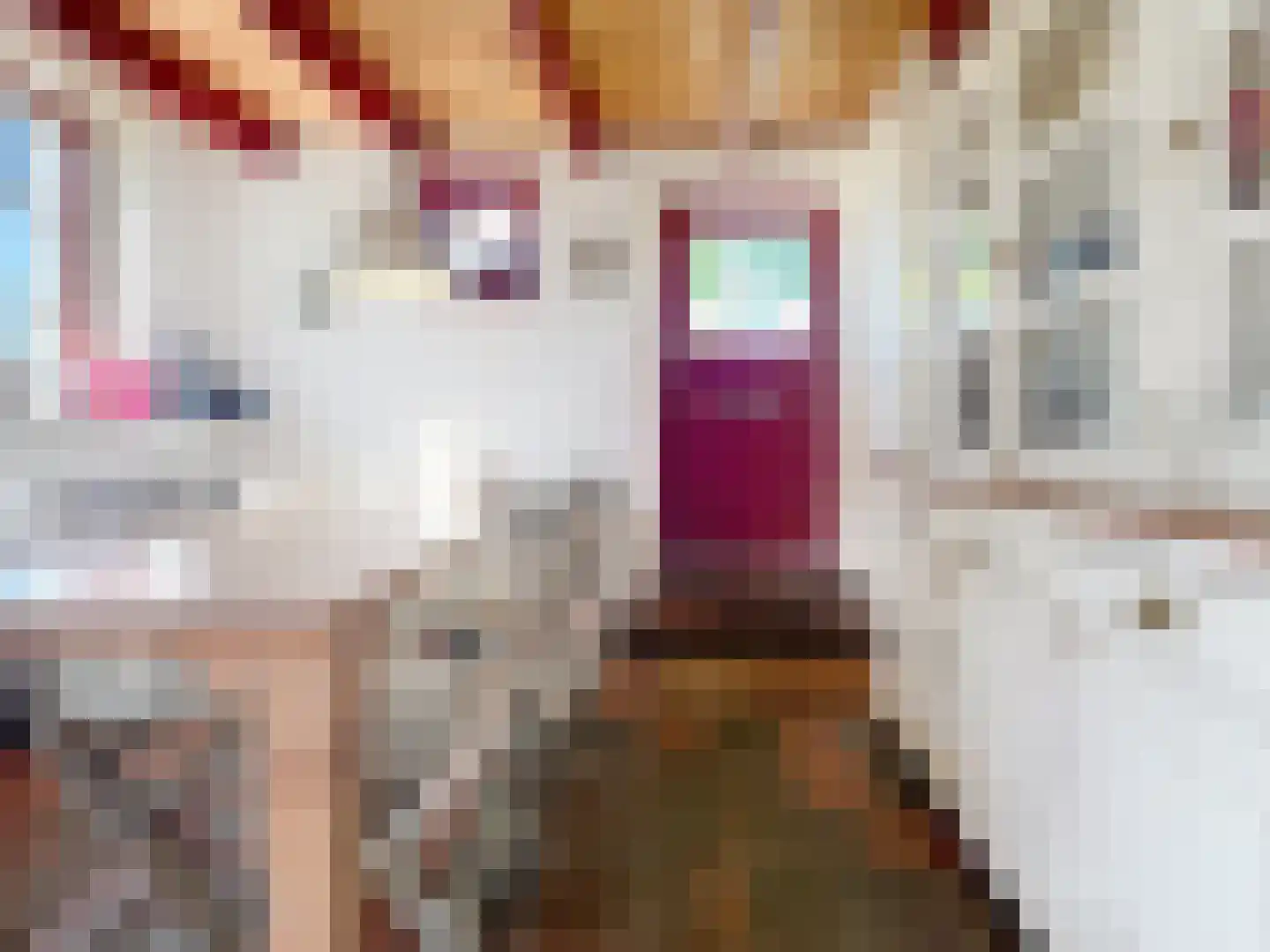 Jonkvrouw Geilstraat 8 Sluis thumbnail 15