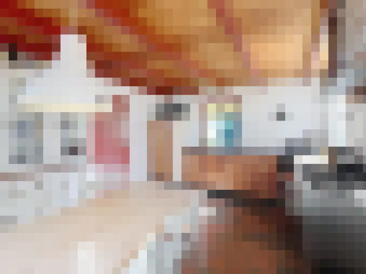 Jonkvrouw Geilstraat 8 Sluis thumbnail 16