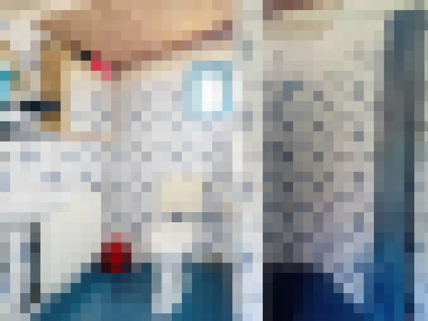 Jonkvrouw Geilstraat 8 Sluis thumbnail 20