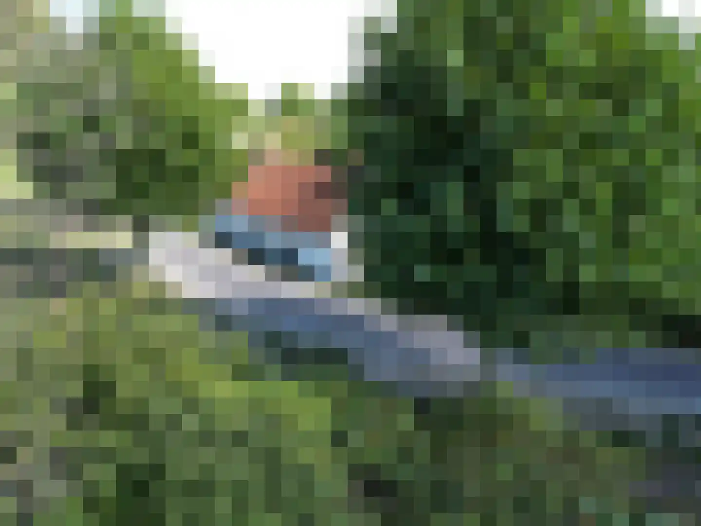 Jonkvrouw Geilstraat 8 Sluis thumbnail 25