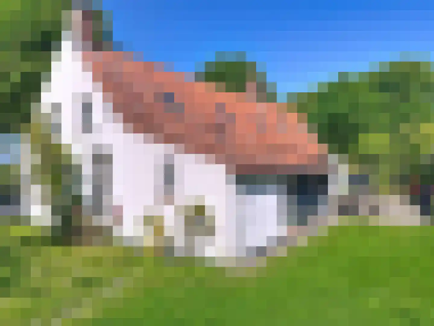 Jonkvrouw Geilstraat 8 Sluis thumbnail 4