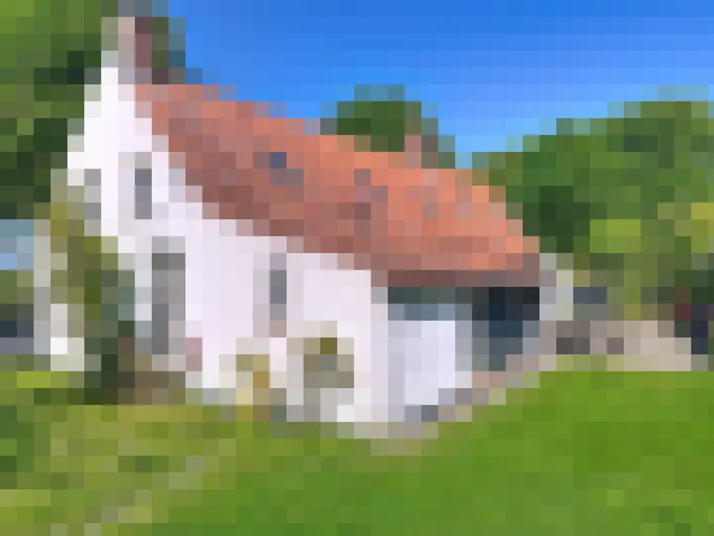 Jonkvrouw Geilstraat 8 Sluis thumbnail 4