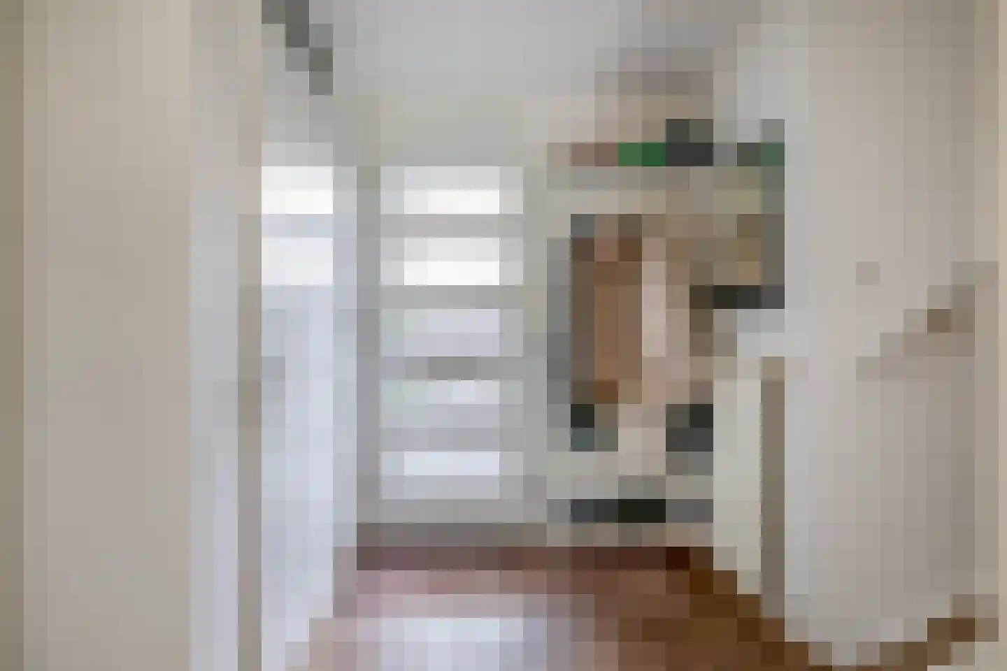 Jonkvrouw van Naaldwijklaan 20 Vlaardingen thumbnail 10