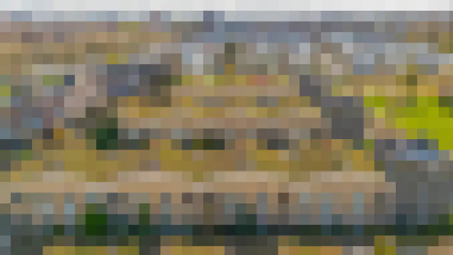 Jonkvrouw van Naaldwijklaan 20 Vlaardingen thumbnail 51
