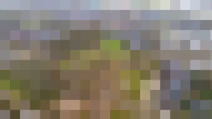 Jonkvrouwenborch 10 Houten thumbnail 46