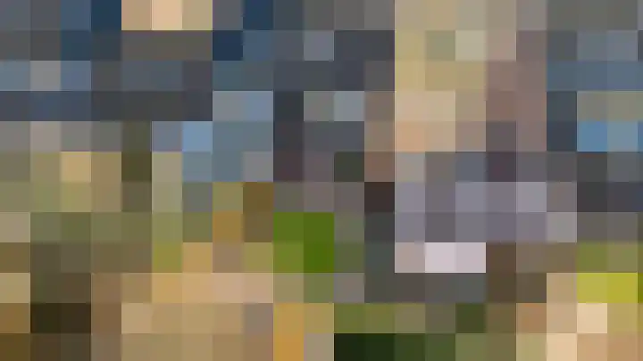 Jonkvrouwenborch 10 Houten thumbnail 48