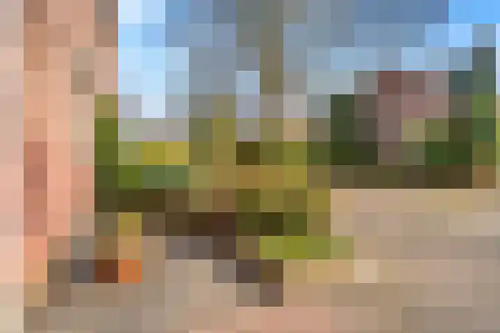 Jonkvrouwenborch 10 Houten thumbnail 6