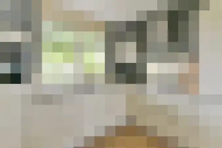 Jonkvrouwenborch 2 Houten thumbnail 13