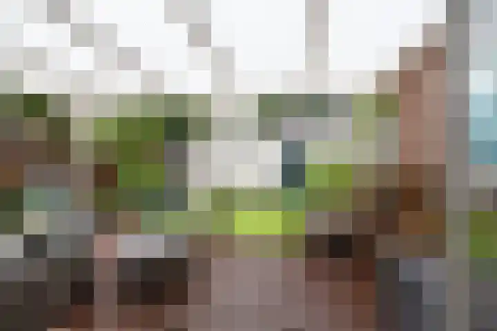 Jonkvrouwenborch 2 Houten thumbnail 17