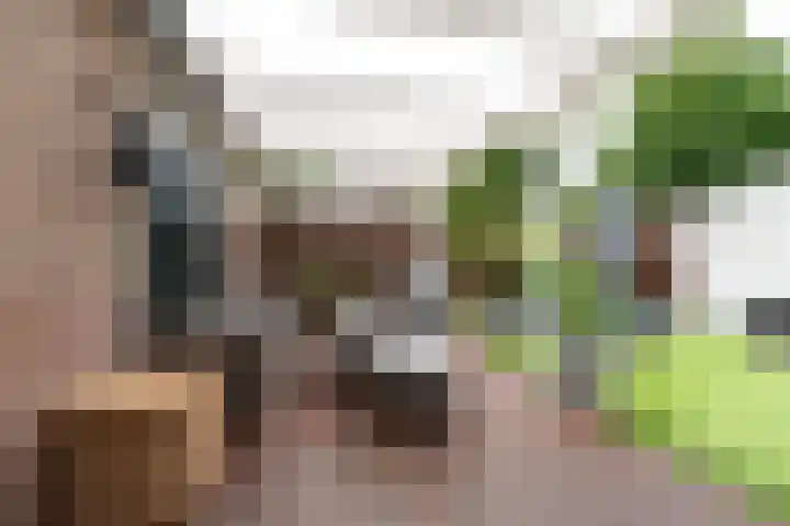 Jonkvrouwenborch 2 Houten thumbnail 18