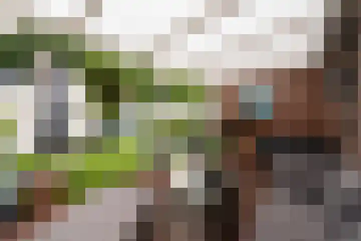 Jonkvrouwenborch 2 Houten thumbnail 19