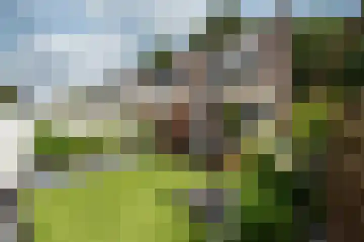 Jonkvrouwenborch 2 Houten thumbnail 23