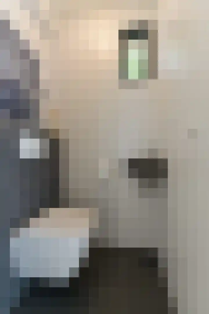 Jonkvrouwenborch 2 Houten thumbnail 25