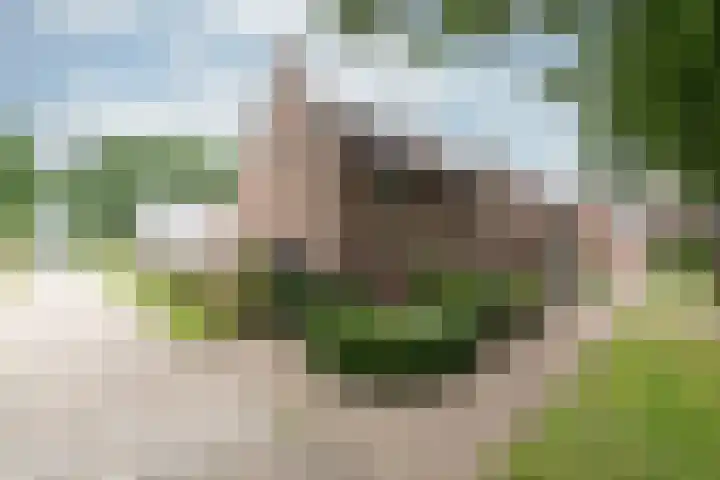 Jonkvrouwenborch 2 Houten thumbnail 37