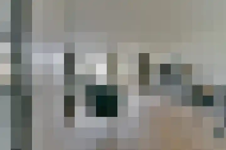 Jonkvrouwenborch 2 Houten thumbnail 4
