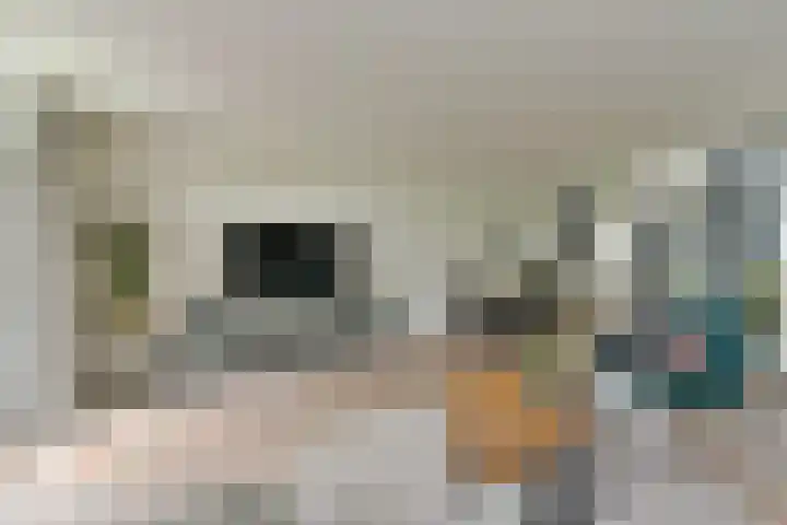 Jonkvrouwenborch 2 Houten thumbnail 8