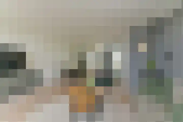 Jonkvrouwenborch 2 Houten thumbnail 9