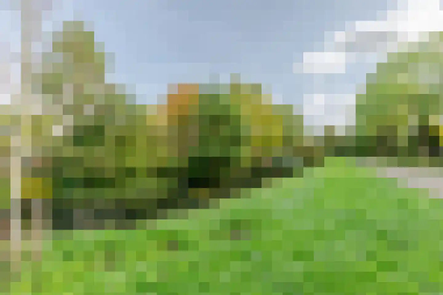 Jonkvrouwenborch 22 Houten thumbnail 35