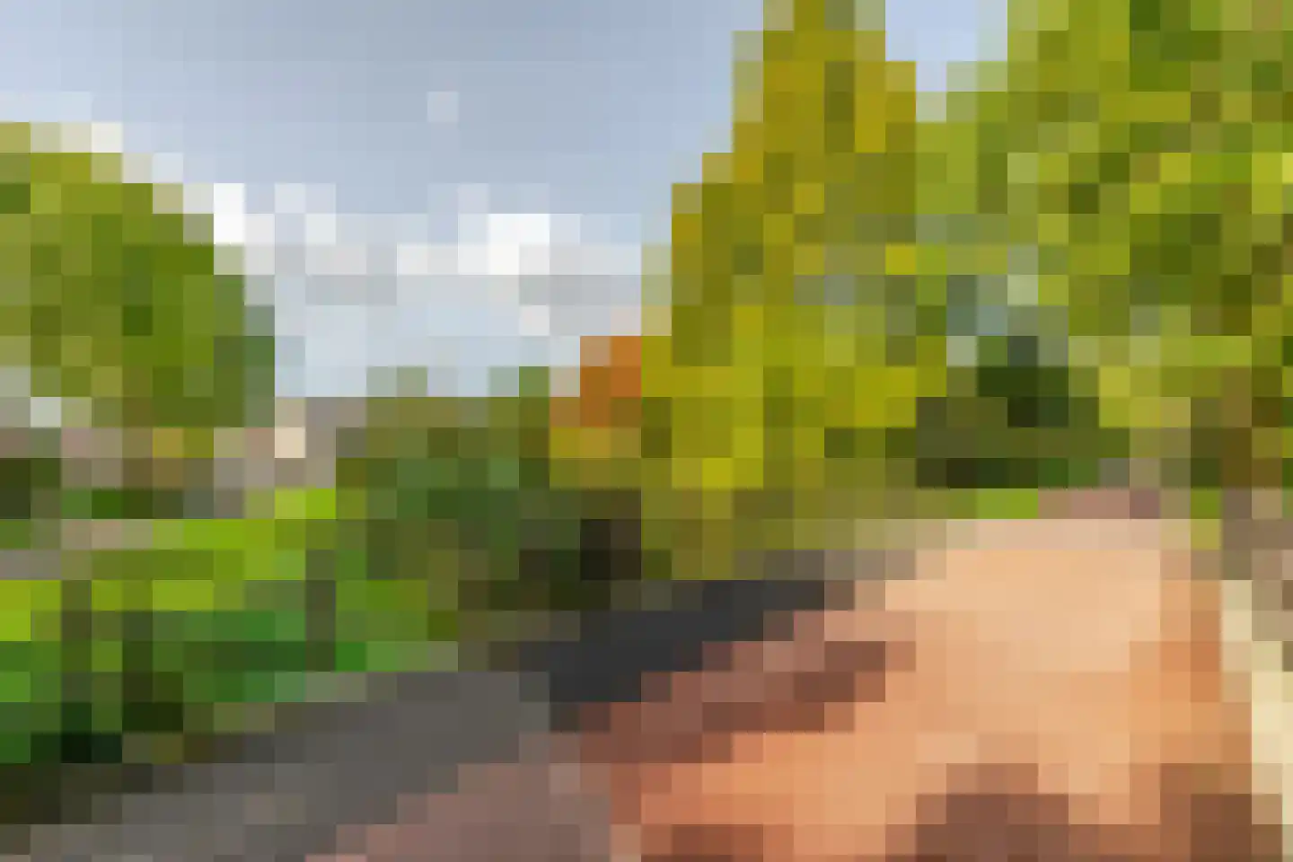 Jonkvrouwenborch 22 Houten thumbnail 38