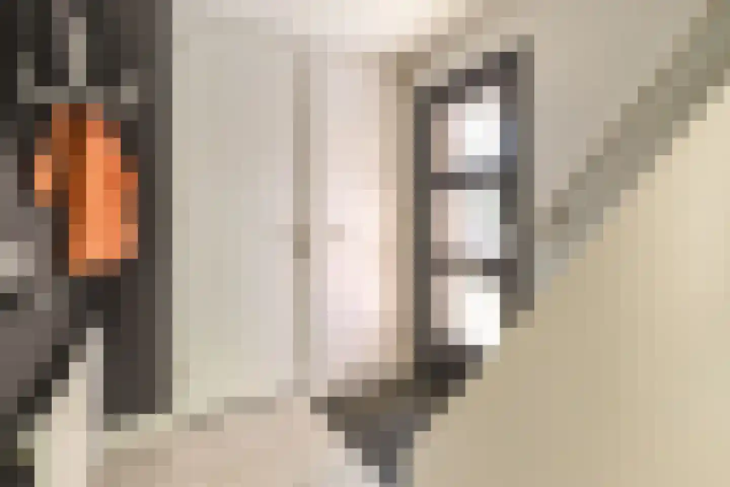 Jonkvrouwenborch 22 Houten thumbnail 5