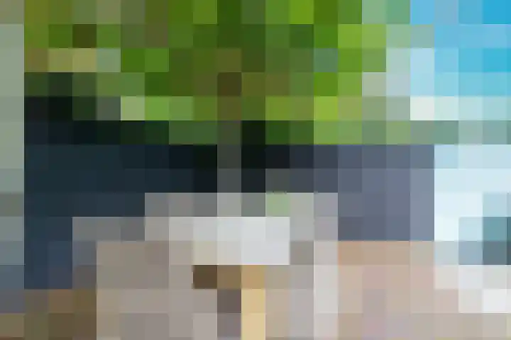 Jonkvrouwenborch 4 Houten thumbnail 19