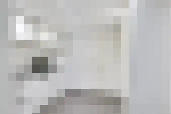 Jonkvrouwenborch 4 Houten thumbnail 25