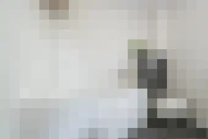 Jonkvrouwenborch 4 Houten thumbnail 33