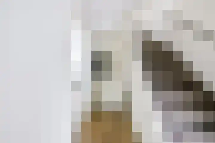 Jonkvrouwenborch 4 Houten thumbnail 4