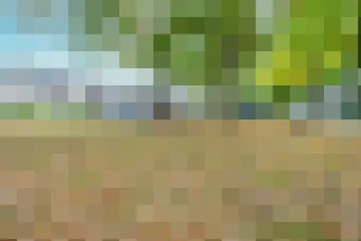 Jonkvrouwenborch 4 Houten thumbnail 45