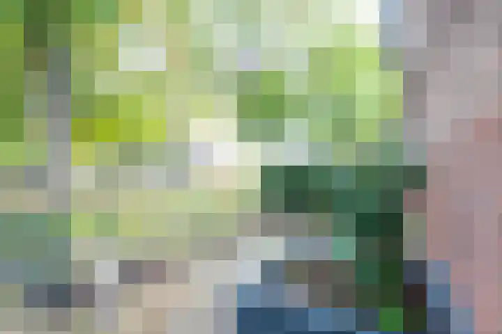 Jonkvrouwenborch 4 Houten thumbnail 48