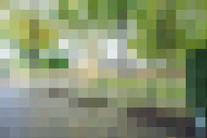 Jonkvrouwenborch 4 Houten thumbnail 49