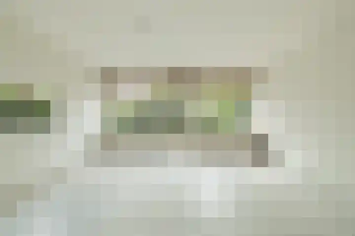 Jonkvrouwlaan 11 Sassenheim thumbnail 11