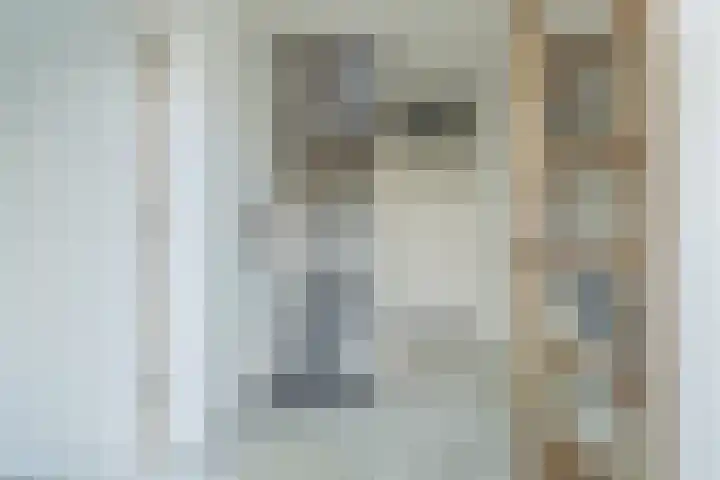 Jonkvrouwlaan 11 Sassenheim thumbnail 15