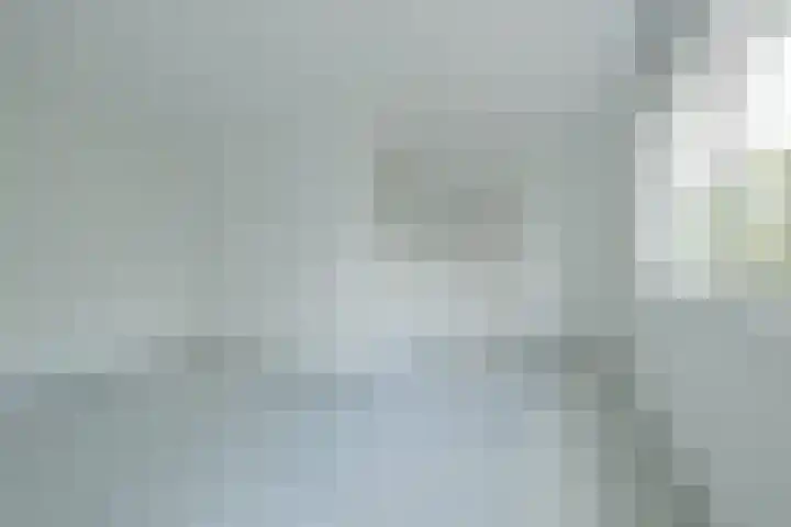 Jonkvrouwlaan 11 Sassenheim thumbnail 18
