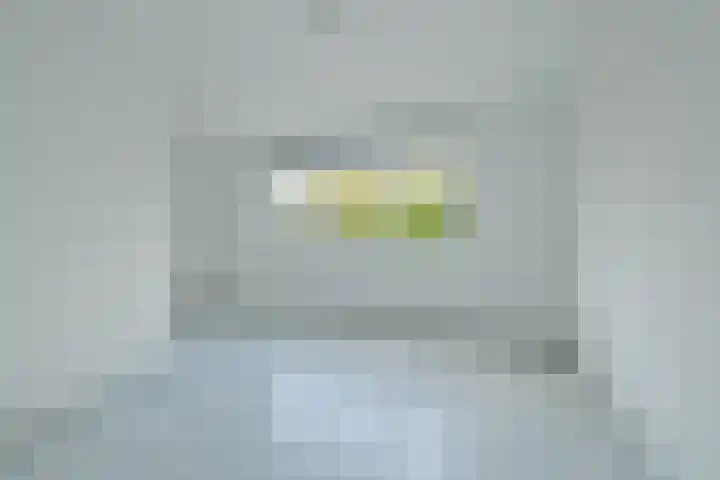 Jonkvrouwlaan 11 Sassenheim thumbnail 19