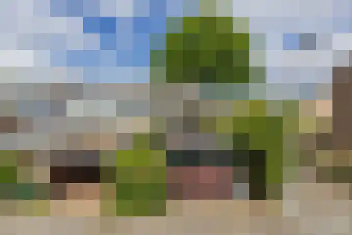 Jonkvrouwlaan 11 Sassenheim thumbnail 43